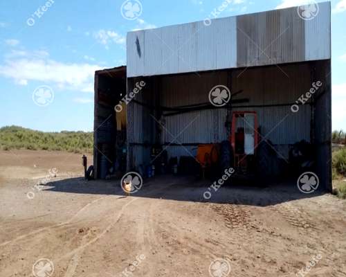 Campo en Venta de 3945 Has San Luis. Mixto