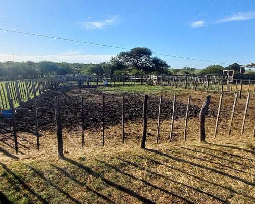 Campo Mixto 360 Hectareas