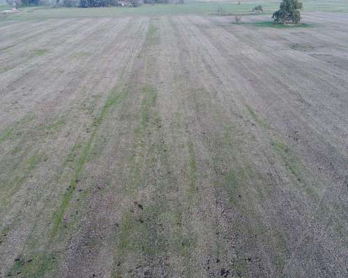 Campo en Venta en 25 de Mayo