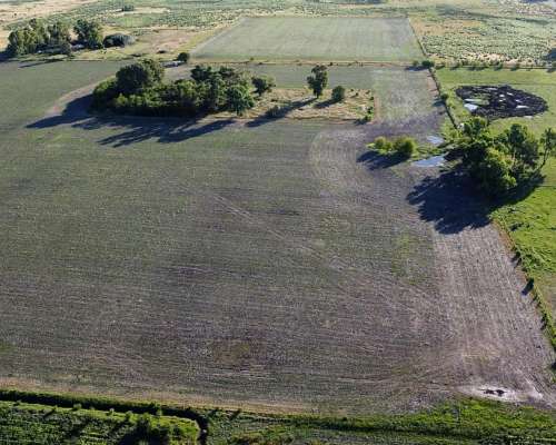 20 Ha Agricolas en Roque Pérez (BS AS)