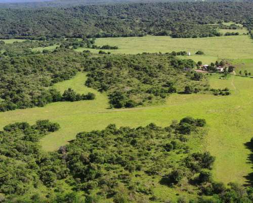 Córdoba Valle de Calamuchita San Ignacio 500 Has Ganaderas