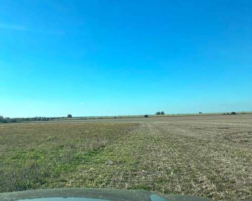 200 Has. Agrícola Cercano a Ruta