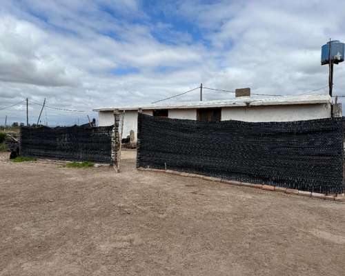 Finca en Venta 57 Hectáreas - Rpn° 24- la Pega Mendoza