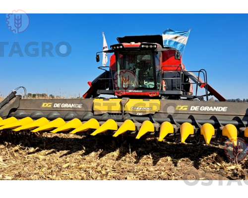Maicero de Grande Freedom - Financiacion Directa