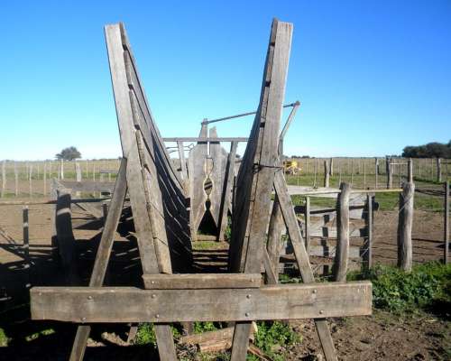 Venta 200ha en Rivera Provincia de Buenos Aires