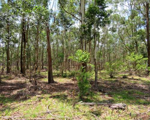 Villa Olivari - 850 Ha - Corrientes