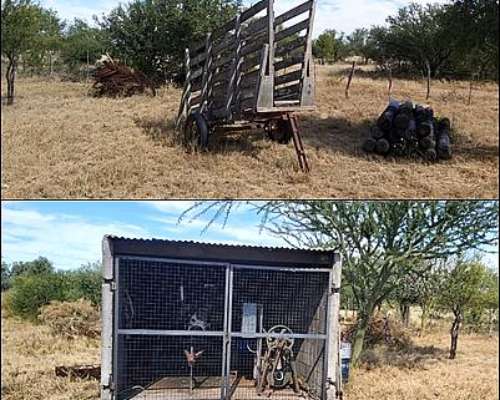 Campo Mixto en Venta - 1549 Hectáreas