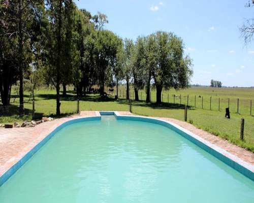 Campo en Venta de 110 Has en Mercedes. Ganadero