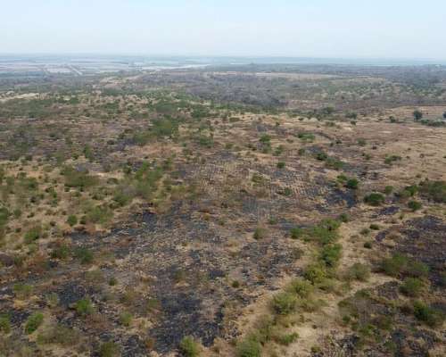 Campo en Venta en Embarcacion