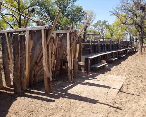 Clodomira, Banda, Santiago del Estero - 4.330 Ha