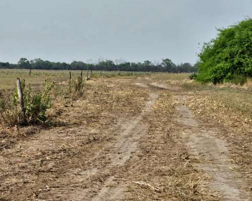 1200 Has. con Riego al SUR de Santiago.