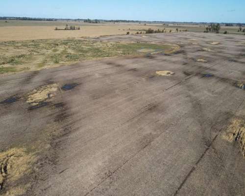 Campo en Venta de 178 Has en las Heras. Agricola