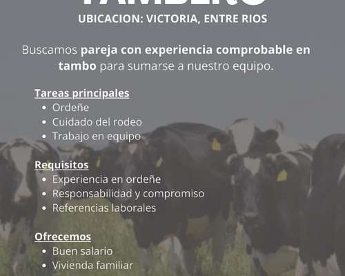 Matrimonio Encargado de Tambo