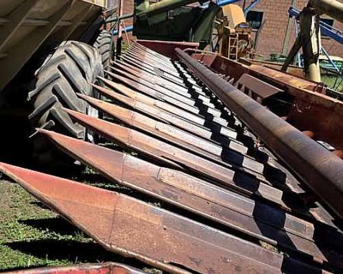 Girasolera Maizco de 12 a 70 cm