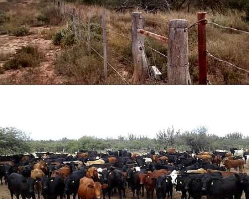 Oferta VDO Campo Norte de Cordoba 9700has