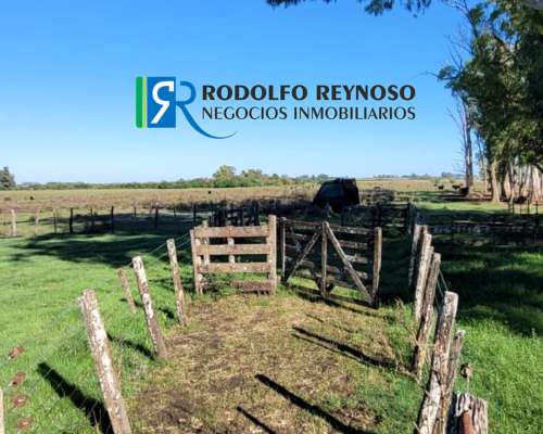 Campo en Villa Elisa - Entre Rios