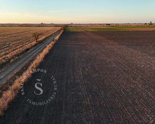 Campo Agrícola. 37 Hectáreas. Humboldt, Santa FE.