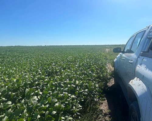 Villa Minetti Disponible Alquiler Agrícola 3700 Ha