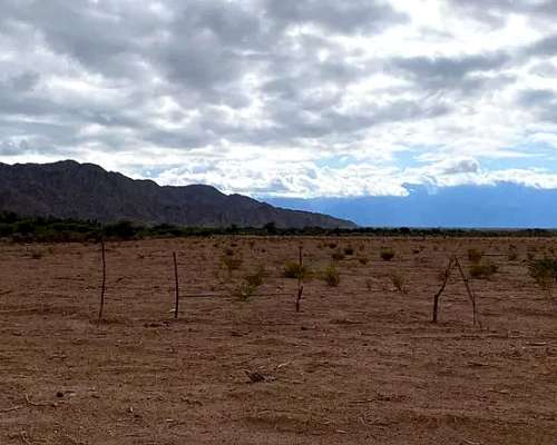 Campo en Venta en Tinogasta 388 Has Chalet/galpon Catamarca