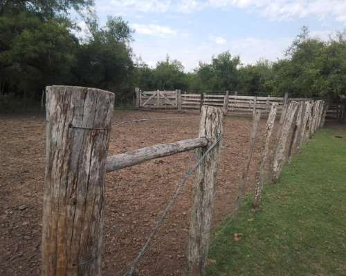 Arrendamiento Alquiler Campo Ganadero
