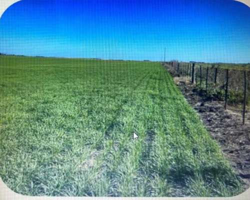 410 Has en Miramar - la Ballenera