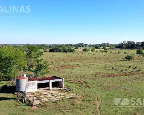 Campo Entre Manzanares y Open Door 83 Ha