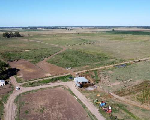 Fondo de Comercio: Tambo en Producción (monte, BS. As.)