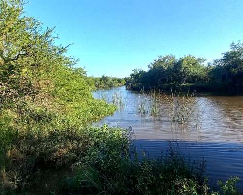 Campo Mixto de 1050 Hectareas
