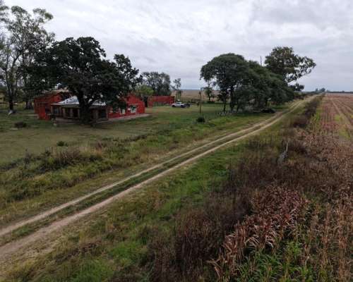 878 HA. Ganadero, Cria. Depto, San Martin (santa FE)