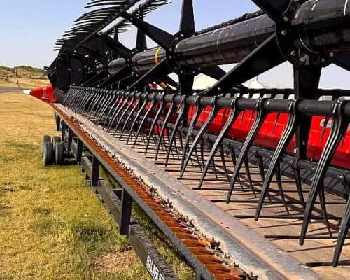 Cosechadora Case IH 7250 Automation, año 2023, Draper 45