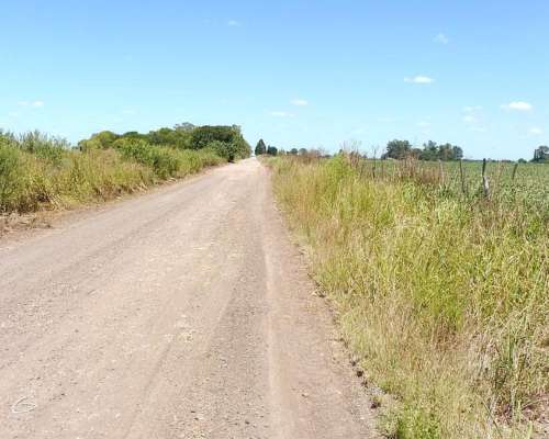 San Nicolás, Buenos Aires - 11,3ha