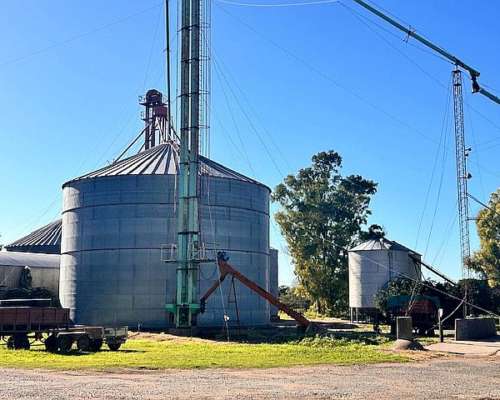 Planta de Silos 6500 Toneladas
