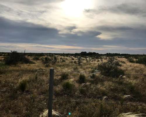 13.400 Ha Costa de Rio, Limay Mahuida, Venta/arriendo