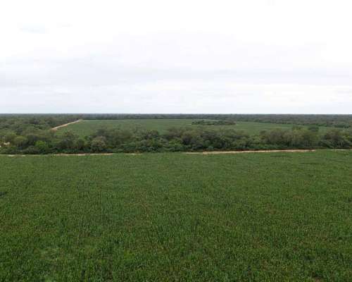 Pcia. de Salta - las Maravillas 2889 Has