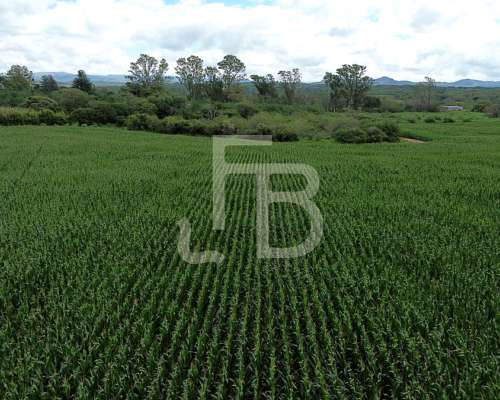 Campo Agrícola 35 Has, Cañada de Río Pinto. Escritura