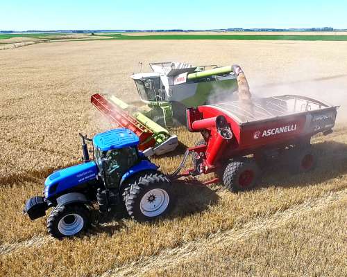 Tolva Autodescargable Ascanelli 24 TN - 29.600 Lts.