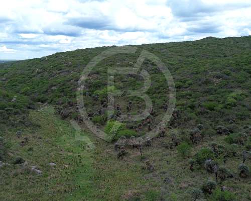 Campo Mixto en Venta- 3.068 Ha en San Pedro Norte, Córdoba