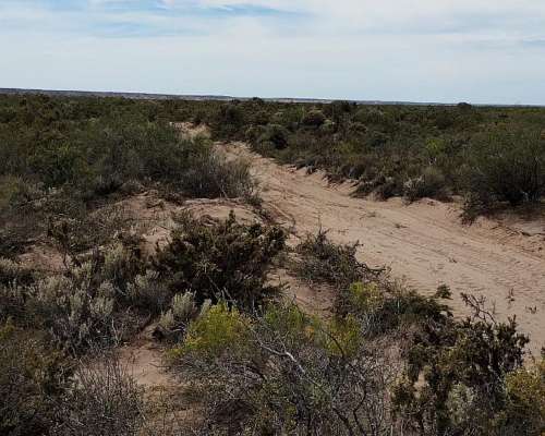 550 HA- Arena Silicea-valle Rio Colorado-peñas Blancas