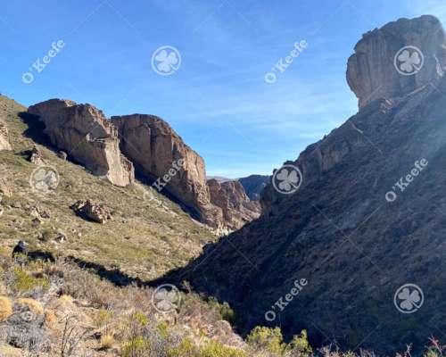 Campo en Venta de 635 Has Bariloche, Costa de Pichileufu