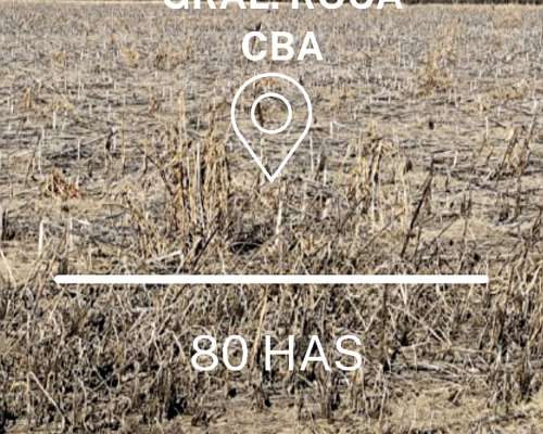 Venta - 80 Has en Gral Roca - CBA