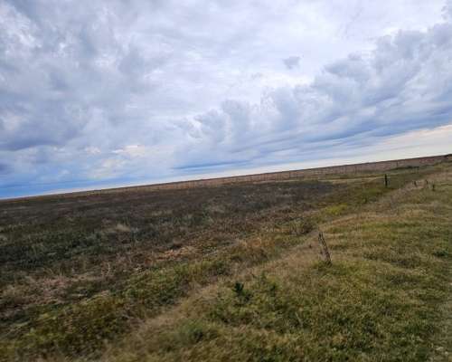 Campo Alquiler Pila 4400 Ha