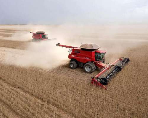 Cosechadoras Case Axial Flow Serie 250