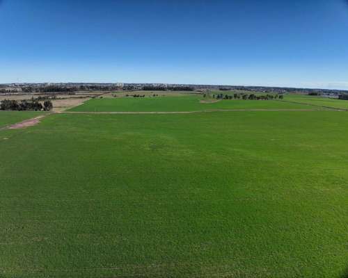 Tres Arroyos, Buenos Aires - 120 Ha