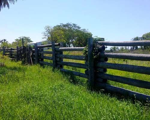 Campo en Venta -pilcomayo-formosa