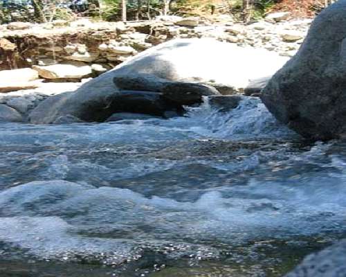 Venta Campo en el Hoyo Zona Arrollo Pedregoso 892 Hectareas