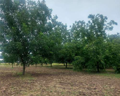 Casa Quinta de Campo y 10 Hectareas con Pileta, Galpon y MAS