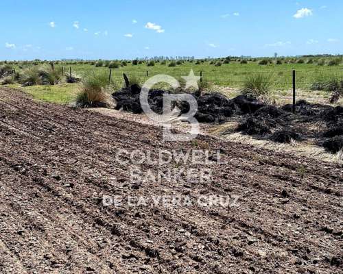Campo Ganadero 1000 Has., Piamonte, Santa FE