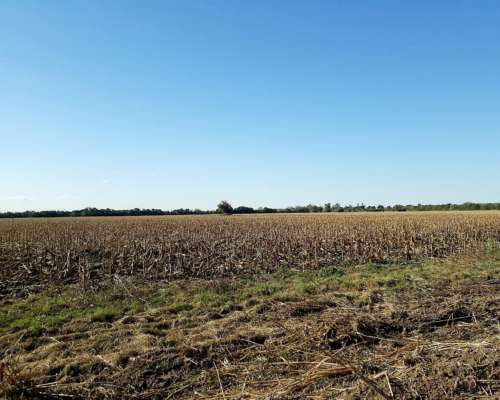 74 Ha en Venta en Colonia Tirolesa