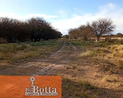 Campo Ganadero en Venta — 3.200 Has Rancul, la Pampa