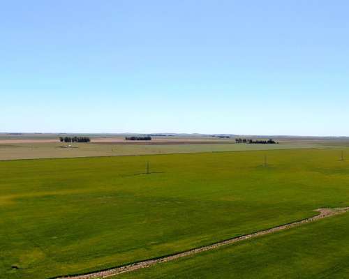 540 Has en Tornquist - BS. AS. - Agrícola - Venta
